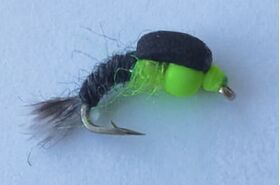 Caddis larva BlackGreen