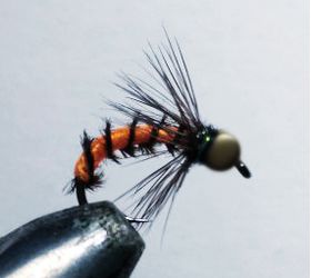 Нимфа оса Orange