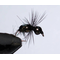 Муравей Black Ant dubble head