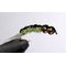 Нимфа Dubble head olive