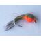 Caddis larva RedHead